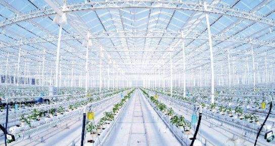 2025年03月河北某智能農(nóng)業(yè)灌溉企業(yè)浪涌防護項目
